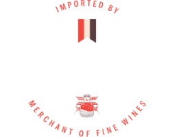 USA Logo Footer
